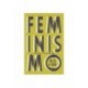 Feminismo De A A Ser de Lúcia Vicente