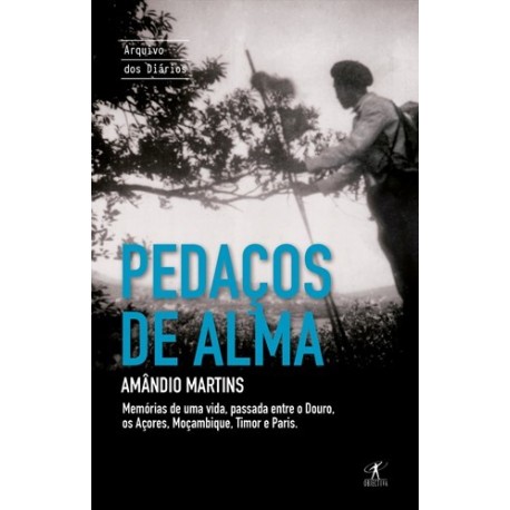 Pedaços De Alma de Amândio Martins