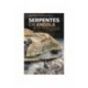 Serpentes De Angola de Paula Regina Simões de Oliveira