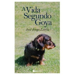 A Vida Segundo Goya de José Jorge Letria
