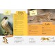 O Grande Livro Da Natureza